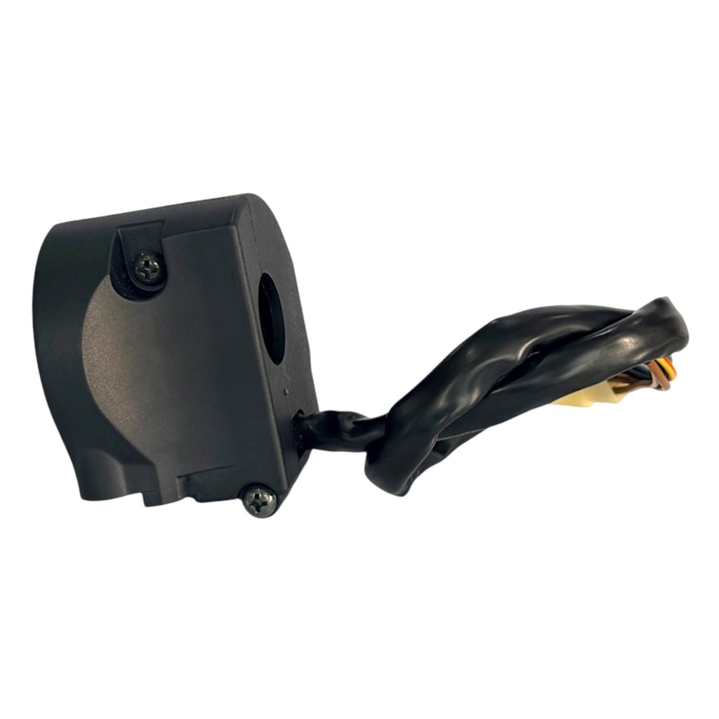 SWITCH DERECHO WSTD CRYPTON  T110   A-36 (3A-1)