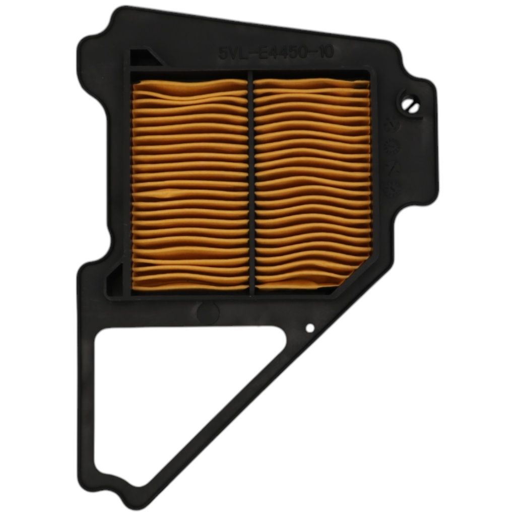 FILTRO DE AIRE MTC YBR125       - (VIA-A1)