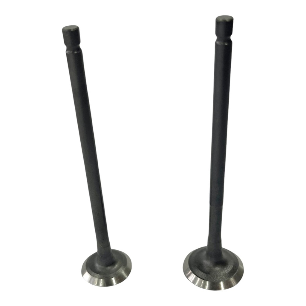 KIT DE VALVULAS WSTD PULSAR135       B-65 (4C-19)