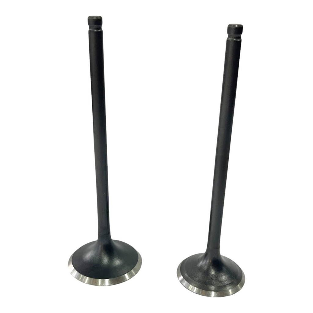 KIT DE VALVULAS WSTD NX4 FALCON / XR400     B-73 (4D-23)