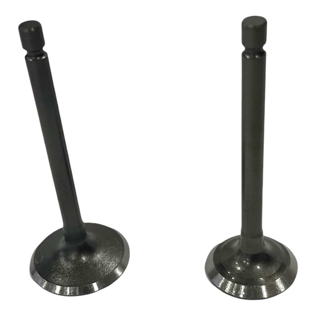 KIT DE VALVULAS WSTD YBR125/XTZ125      B-99(4E-13)