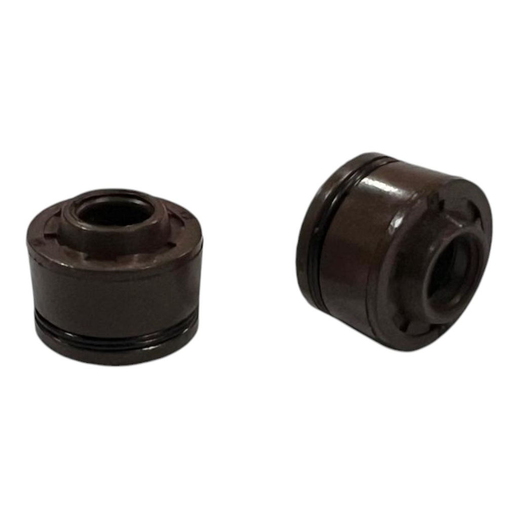 RETEN DE VALVULA WSTD CG125 / CG150 / CG200 PAR     B-69 (5TO-CTO2)