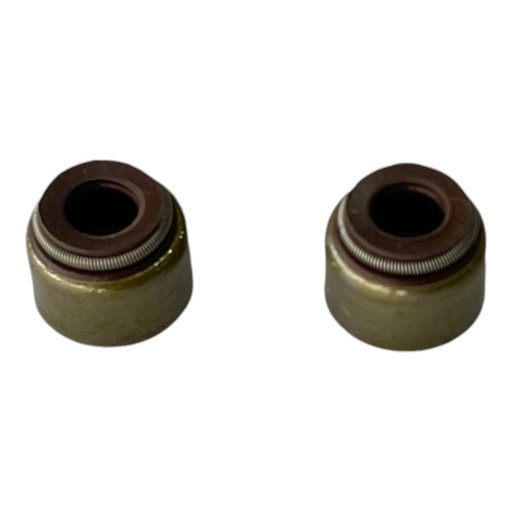 [7899641802066] RETEN DE VALVULA VEDA AG200 / TTR230 / XT225 VITON PAR      M-20 (A-8)