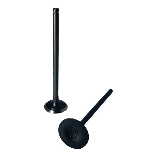 [S0238] KIT DE VALVULAS WSTD EN125   D-42   (4B-4)