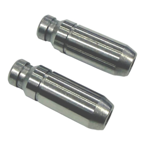 [PY12204-0009] GUIA DE VALVULA WSTD CRYPTON T105 / T110 2PCS/SET        J-27 (B-13)