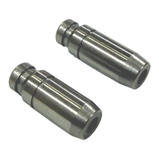 [PY12204-0012] GUIA DE VALVULA WSTD XTZ125 / YBR125 2PCS/SET         J-13 (A-17)