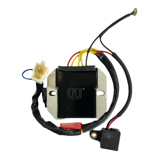 [PW31600-0021] RECTIFICADOR WSTD PULSAR NS200      J-4 (4D-9)