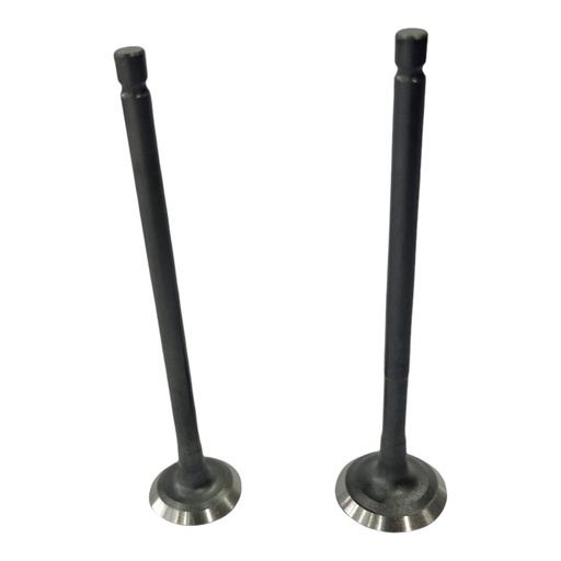 [PW14700-0013] KIT DE VALVULAS WSTD PULSAR 135       B-65(4C-19)