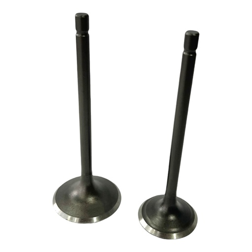 [PW14700-0010] KIT DE VALVULAS WSTD CG250      C-12 (4E-13)