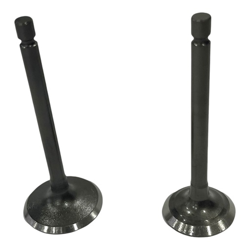 [PY14700-0002] KIT DE VALVULAS WSTD YBR125 / XTZ125      B-99 (4E-13)