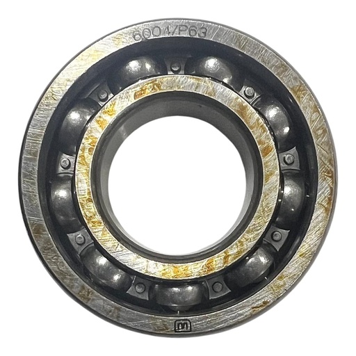 [P6004C3] RODAJE 6004 WSTD     F-102(A-18)