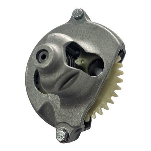 [PH15100-0002] BOMBA DE ACEITE COMPLETO WSTD CG125 - 250 39T   D-37  (1A-13)