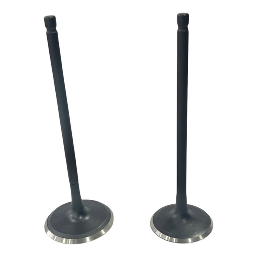 [PW14700-0004] KIT DE VALVULAS WSTD PULSAR 220       C-11(5TO-CTO2)