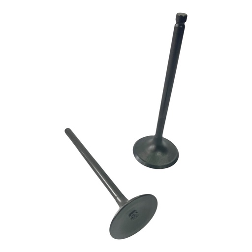 [PS14700-0007] KIT DE VALVULAS WSTD DR200 / GTX200        C-47(4E-13)